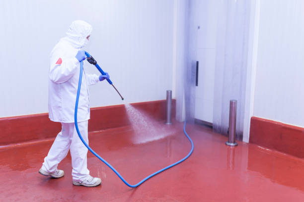 Spring Cleaning in North Arlington, NJ